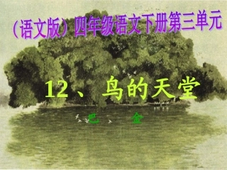 《鸟的天堂》 (4)