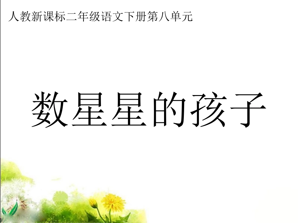 《数星星的孩子》教学课件3_第1页