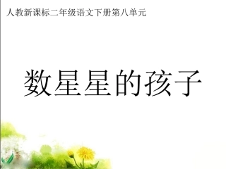 《数星星的孩子》教学课件3