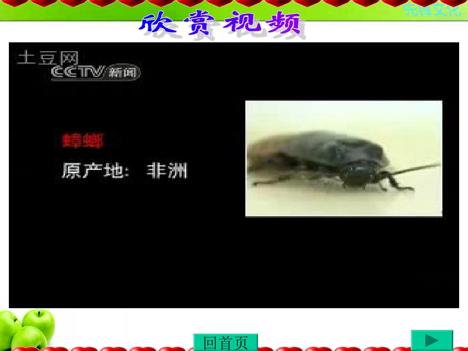 《生物入侵者》_第2页