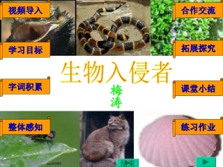《生物入侵者》