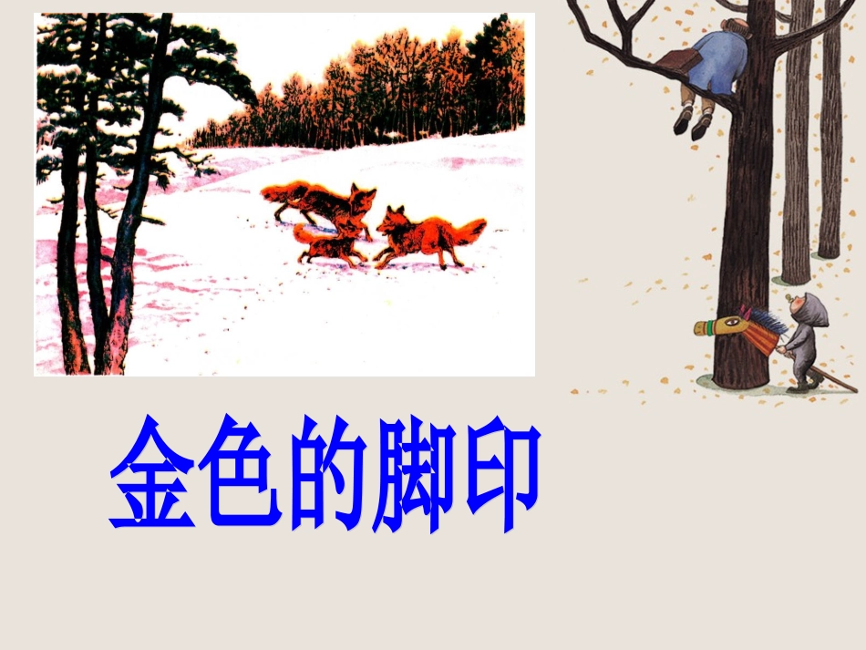 《金色的脚印》课件_第1页