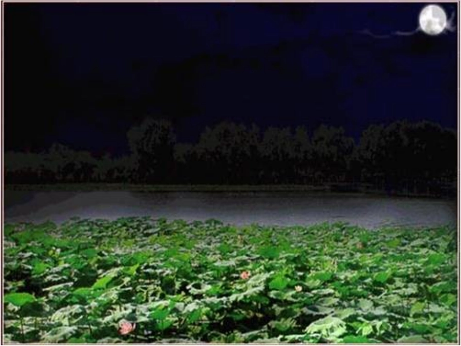 《荷塘月色》PPT_第3页