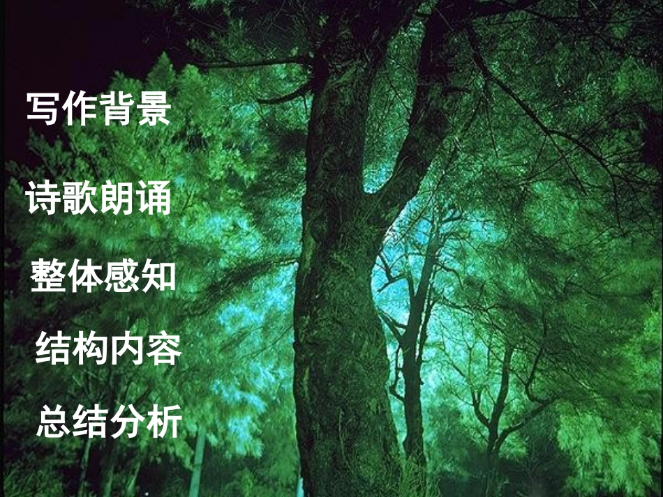 《樵夫-别砍那棵树》课件_第2页