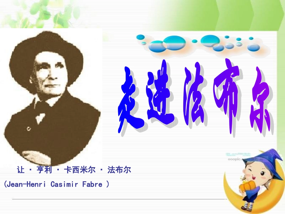 《昆虫记》导读课件_第3页