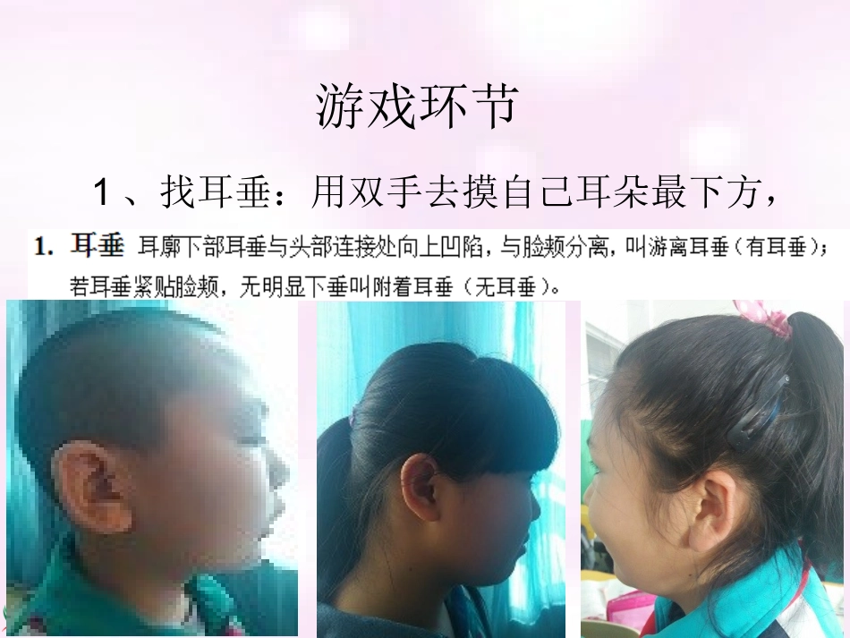 《生物的遗传现象》课件_第1页