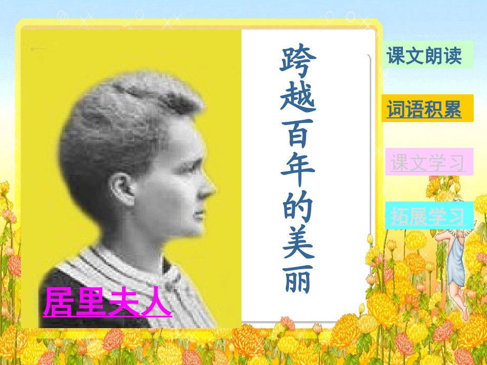 《跨越百年的美丽》课件1_第2页
