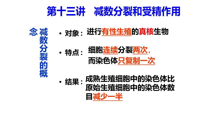 一轮复习减数分裂和受精作用_第1页