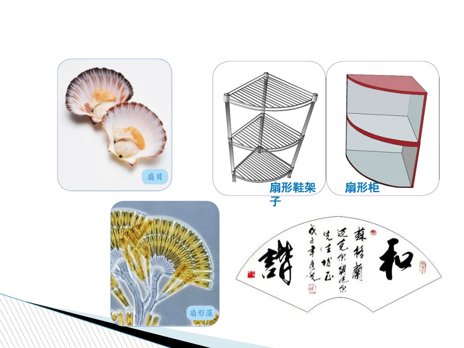 《认识扇形》-PPT_第2页