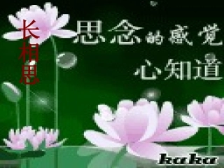 《长相思》课件制作