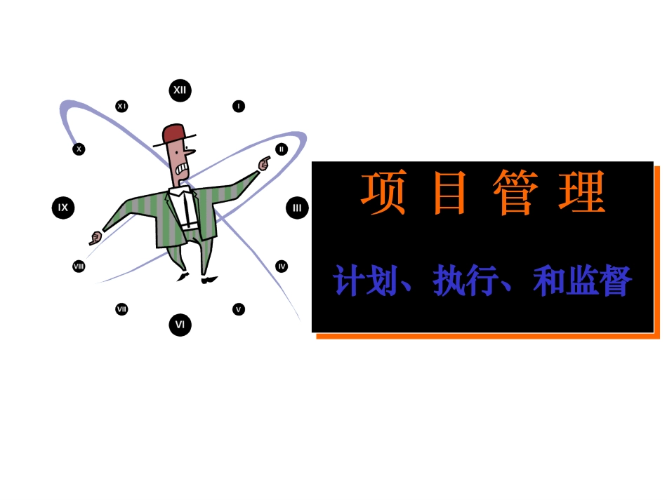 项目管理中的执行与监督解疑_第1页