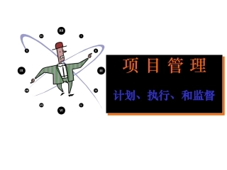 项目管理中的执行与监督解疑