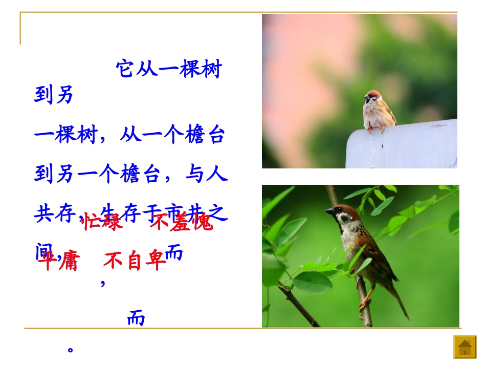 《隔窗看雀》课件_第2页