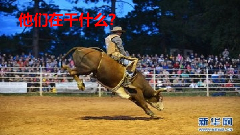 一年级语文下册第三组2骑牛比赛课件32中附小梁从慧_第2页