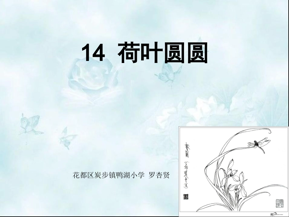 《荷叶圆圆》的教学课件_第1页