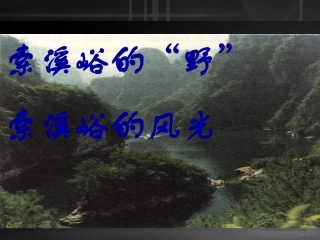 《索溪峪的野》课件 (2)