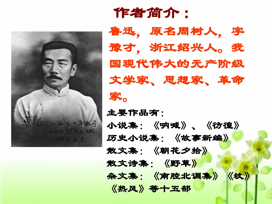 《祝福》教学课件_第3页