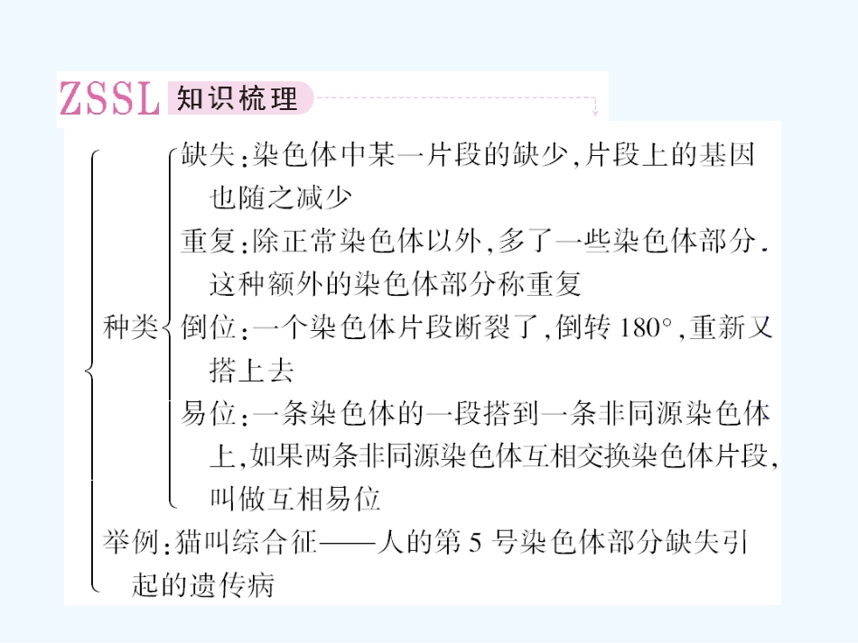 【精品】2011届高考生物第一轮复习经典学案 4-10 染色体变异课件_第3页