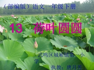 《荷叶圆圆》第二课时课件