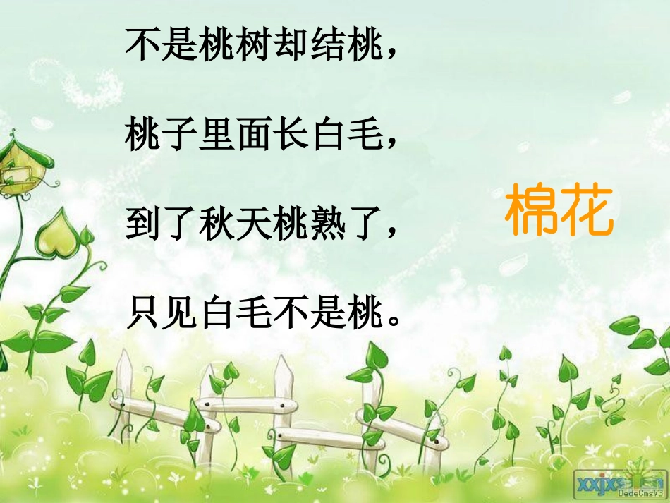 《棉花姑娘》课件_第2页