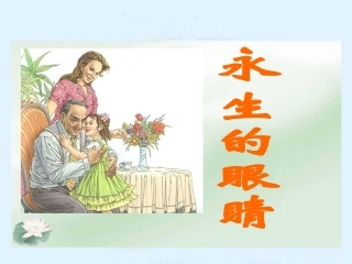 《永生的眼睛》PPT课件