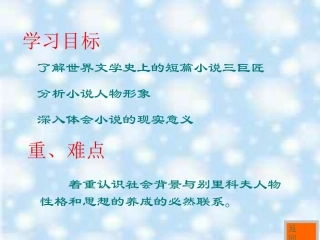 《装在套子里的人》
