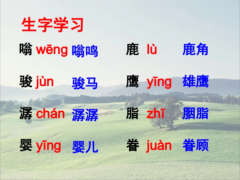 《这片土地是神圣的》教学课件_第2页