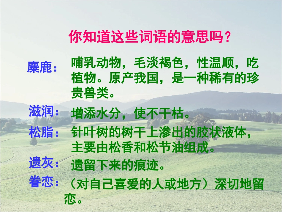 《这片土地是神圣的》教学课件_第3页