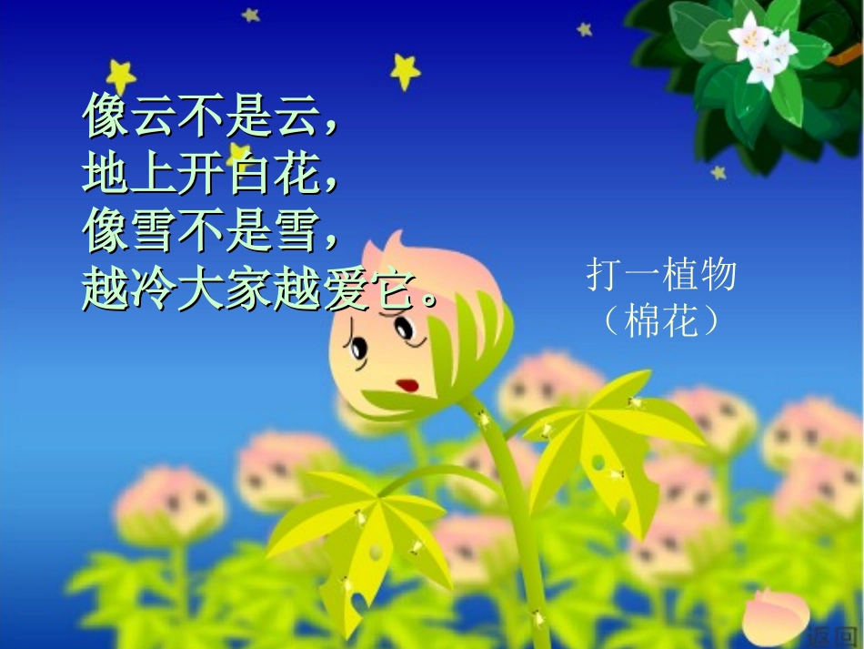 《棉花姑娘》_第2页