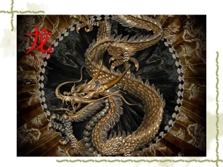 《赛龙夺锦》课件