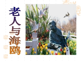 《老人与海鸥》课件 (6)