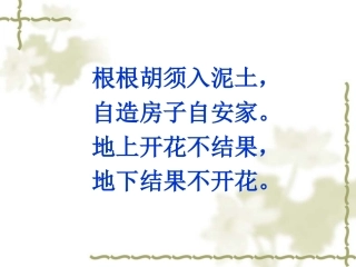 《落花生》课件5