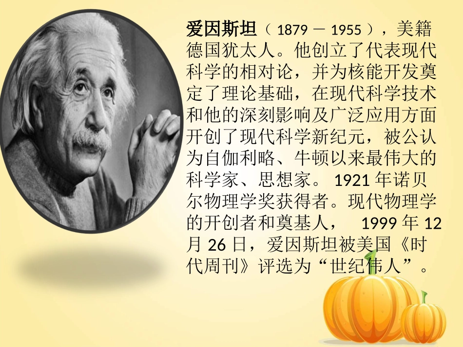 《爱因斯坦和小女孩》课件_第2页