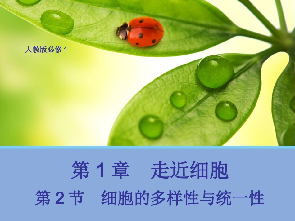 【生物】12细胞的多样性与统一性课件1（人教版必修1）_第1页