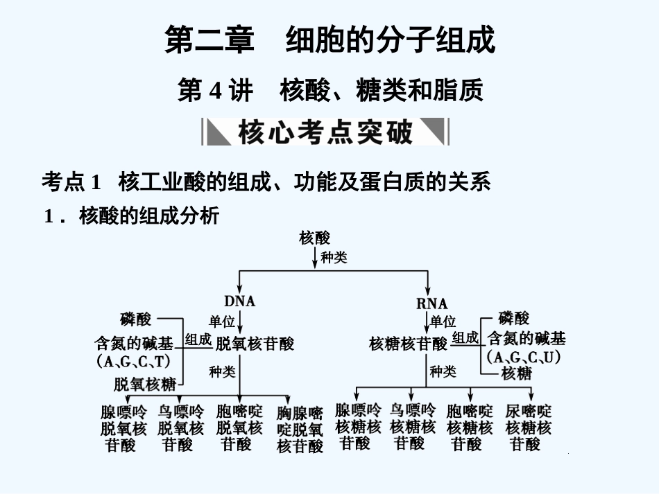 【创新设计】2011届高考生物一轮复习第二章第4讲 核酸、糖类和脂质课件 苏教版必修1 _第1页