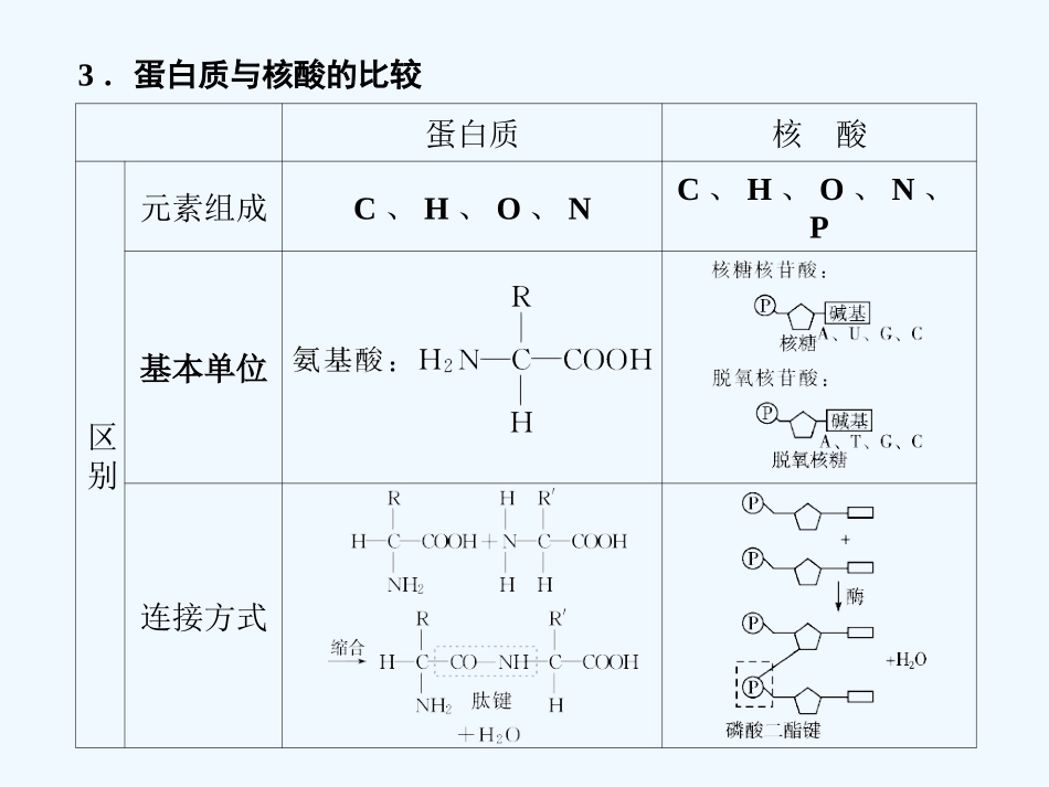 【创新设计】2011届高考生物一轮复习第二章第4讲 核酸、糖类和脂质课件 苏教版必修1 _第3页