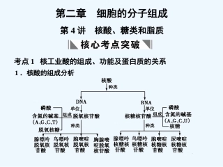 【创新设计】2011届高考生物一轮复习第二章第4讲 核酸、糖类和脂质课件 苏教版必修1 