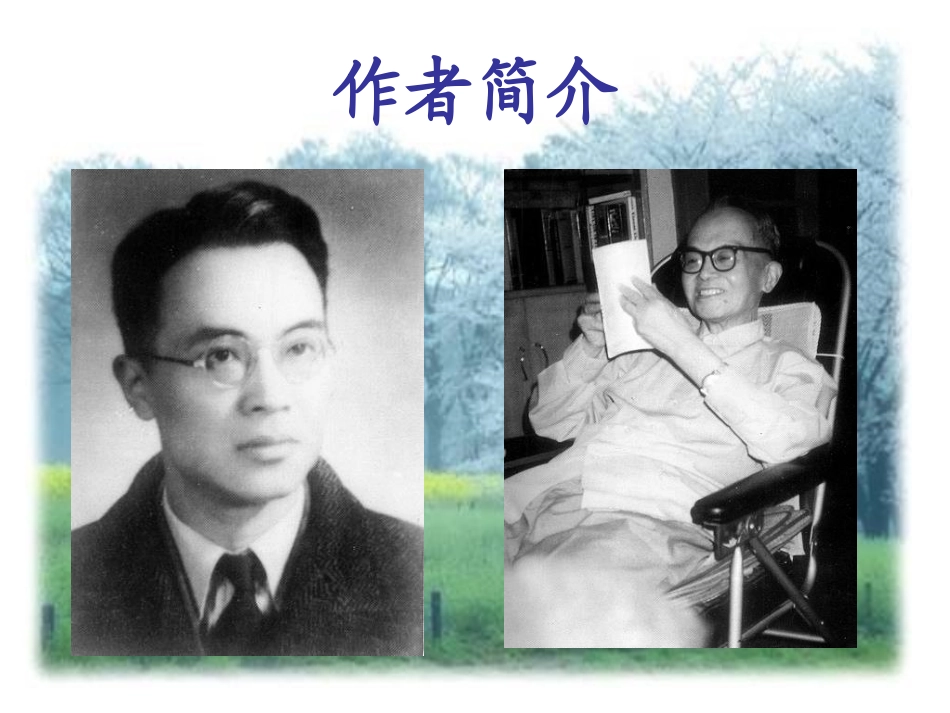 《谈中国诗》课件（26页）_第2页