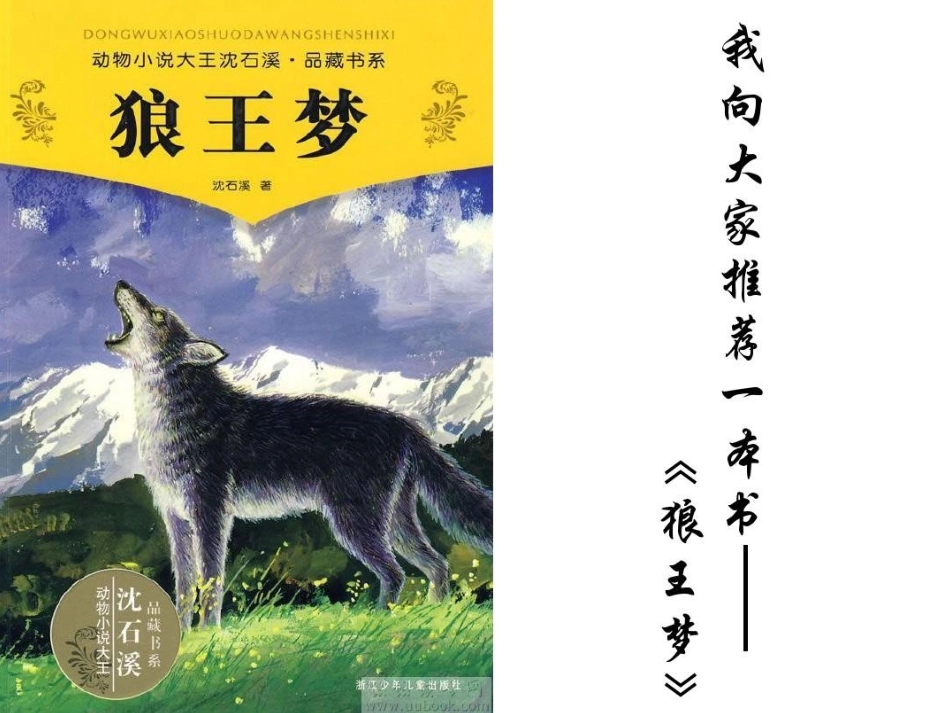 狼王梦-完整课件_第2页
