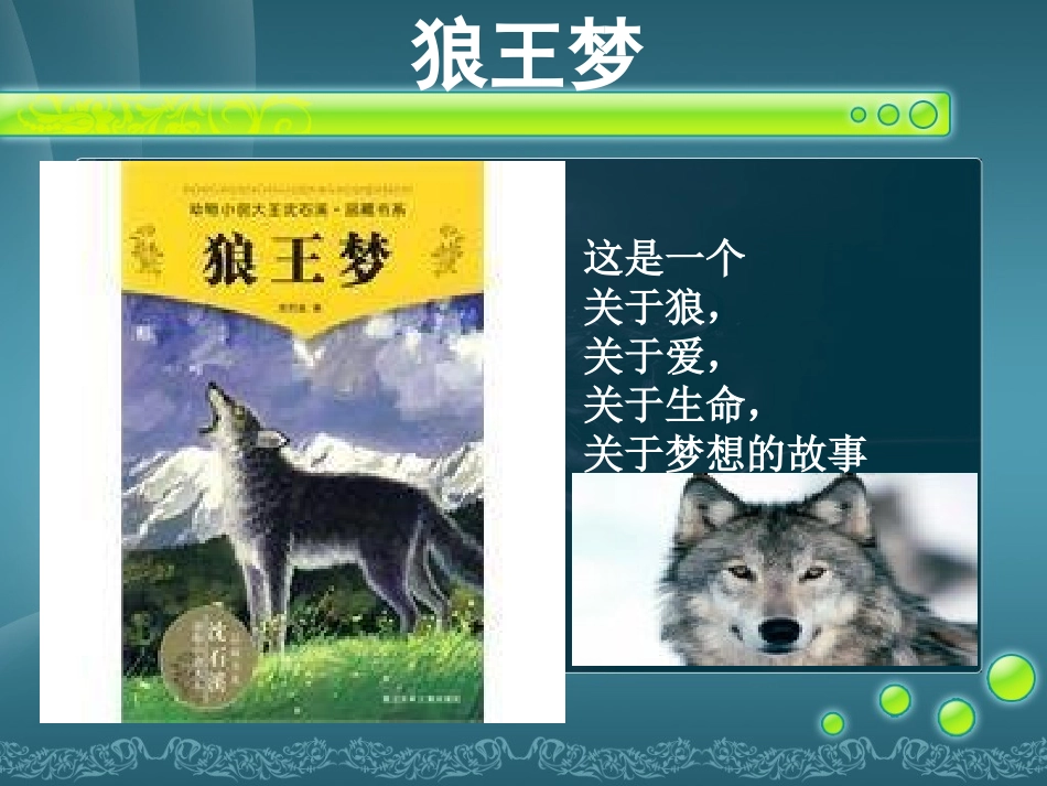 狼王梦-完整课件_第3页