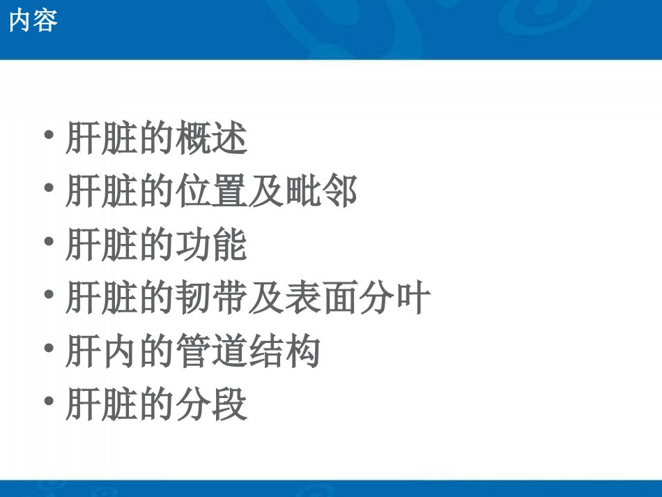 肝脏的基本解剖及生理课件_第2页