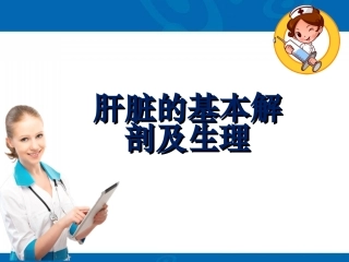 肝脏的基本解剖及生理课件