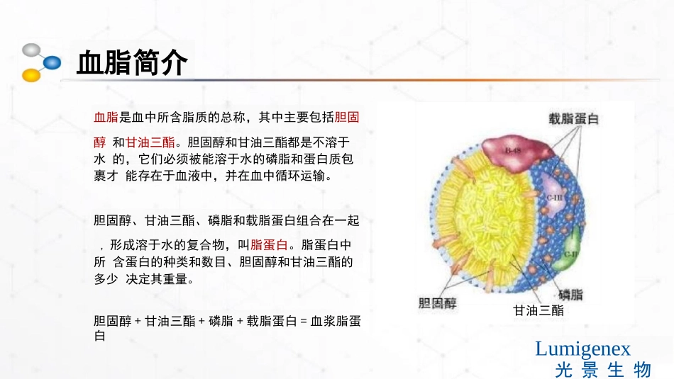 高脂血症课件_第2页