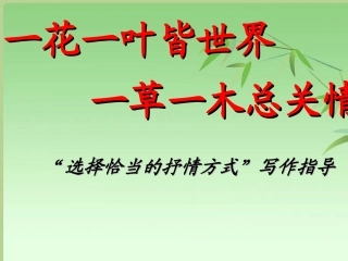 《写作：选择恰当地抒情方式》课件 (2)