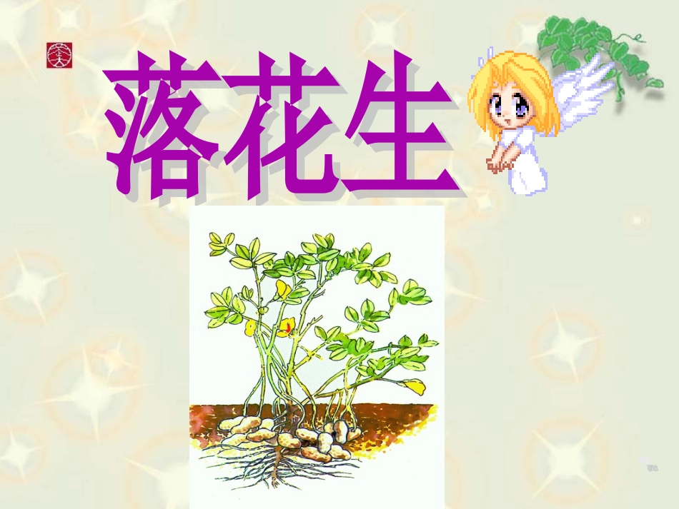 《落花生》课件5 (2)_第2页