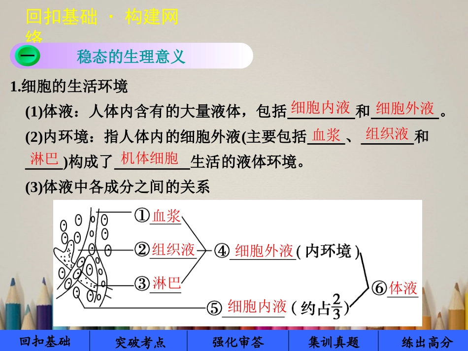 【步步高】2014届高考生物大一轮复习第23讲稳态与体温调节课件苏教版_第2页