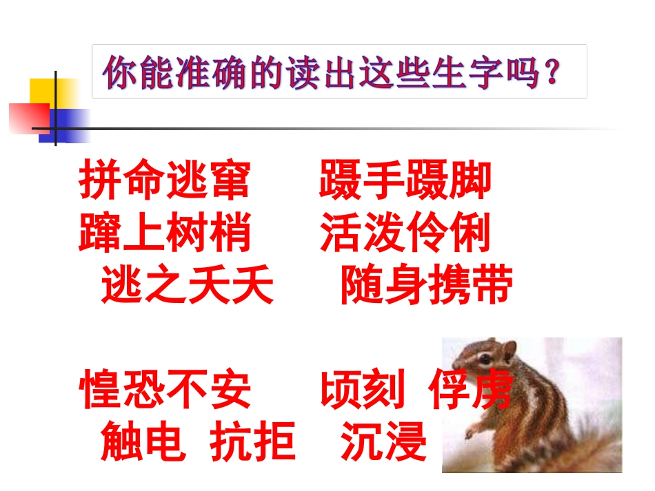 《松鼠》课件 (2)_第2页