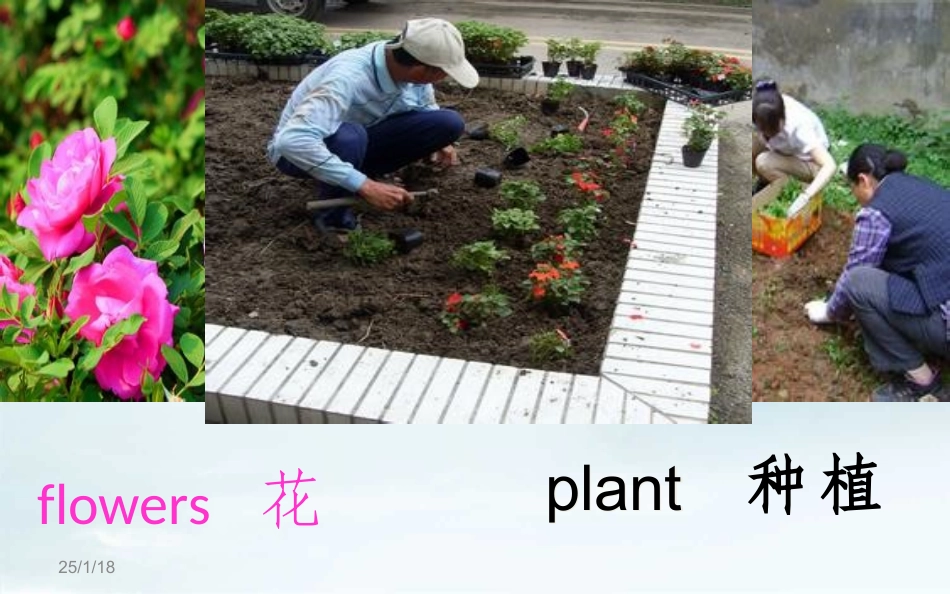 【推荐】Lesson4WhatDoTheyLiketoDo(课件1)_第2页