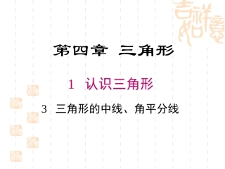 《413三角形的中线、角平分线》