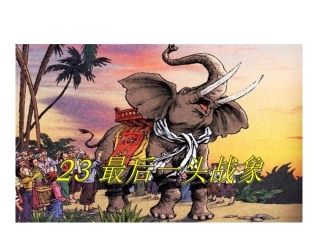 rjyw060123最后一头战象课件